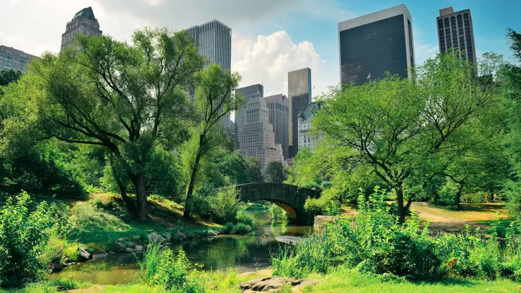 Central Park Spring with Skyline in midtown Manhattan New York City